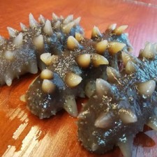 即食海参