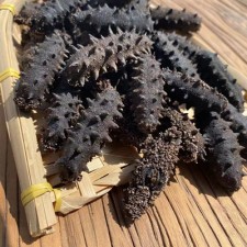 淡干海参